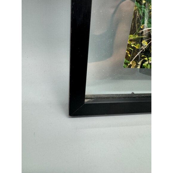 Black landscape creek trees nature photo Picture Frame layered 11.5x14.5" READ - Picture 5 of 13